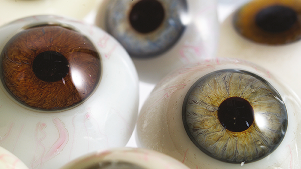 The Greatest Show…of Historic Vision Aids and Models of Ocular Disease