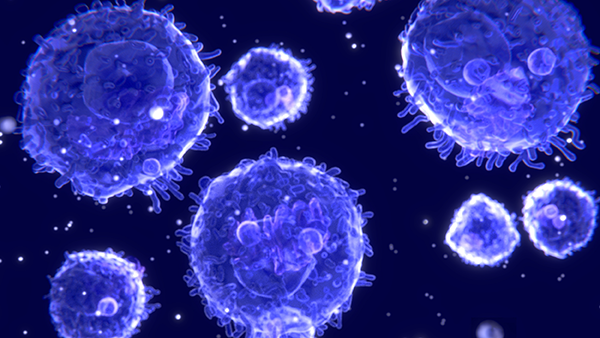 T Cell Secrets