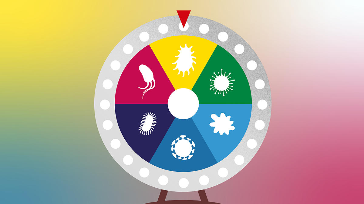 Reinventing the AMR Wheel