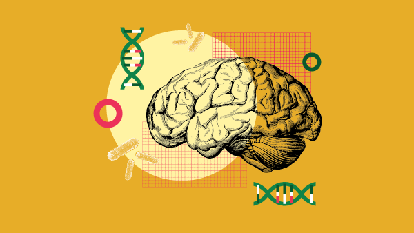 Bartonella Blood on the Brain